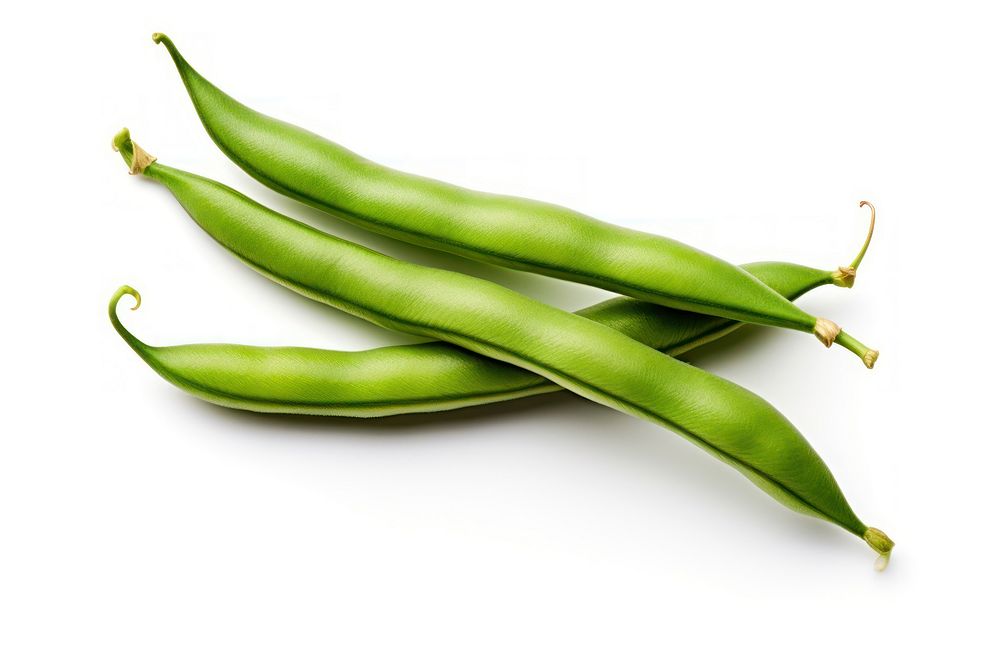 Green beans vegetable plant green.