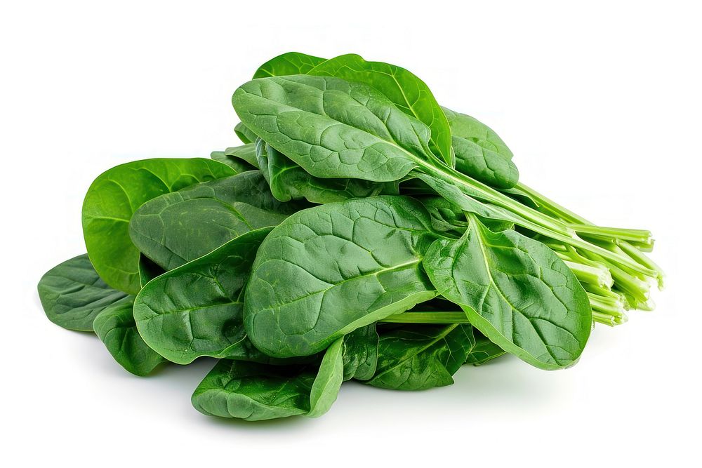 Fresh spinach vegetable plant food.
