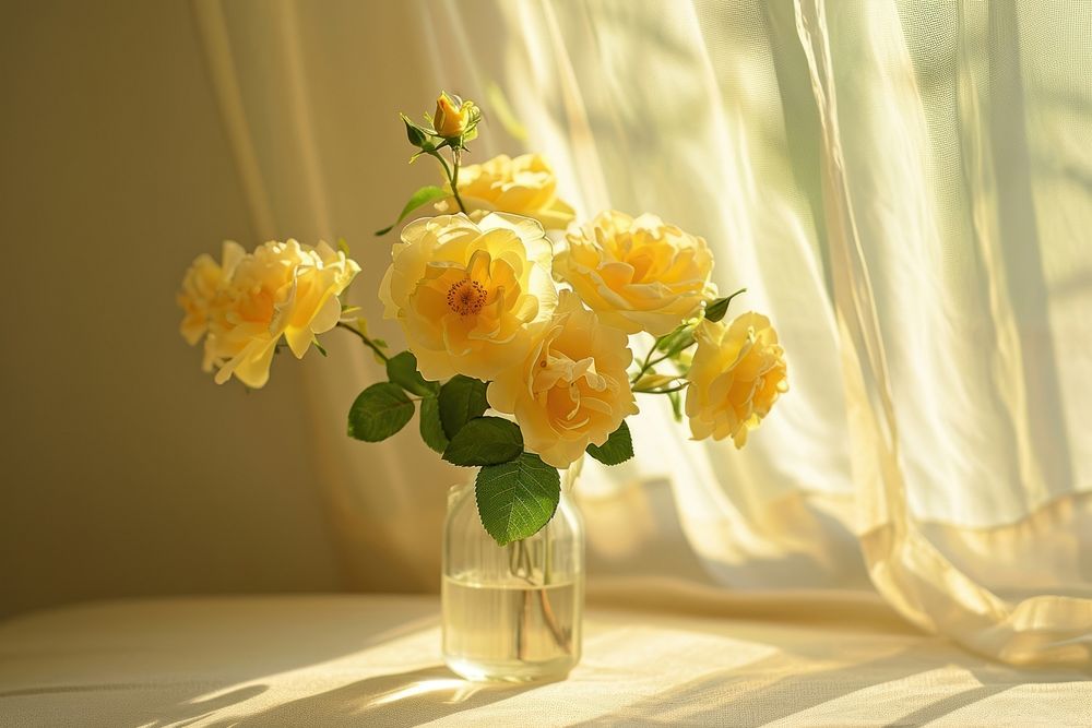 Summer scene with yellow rose flowers in vase nature plant petal.