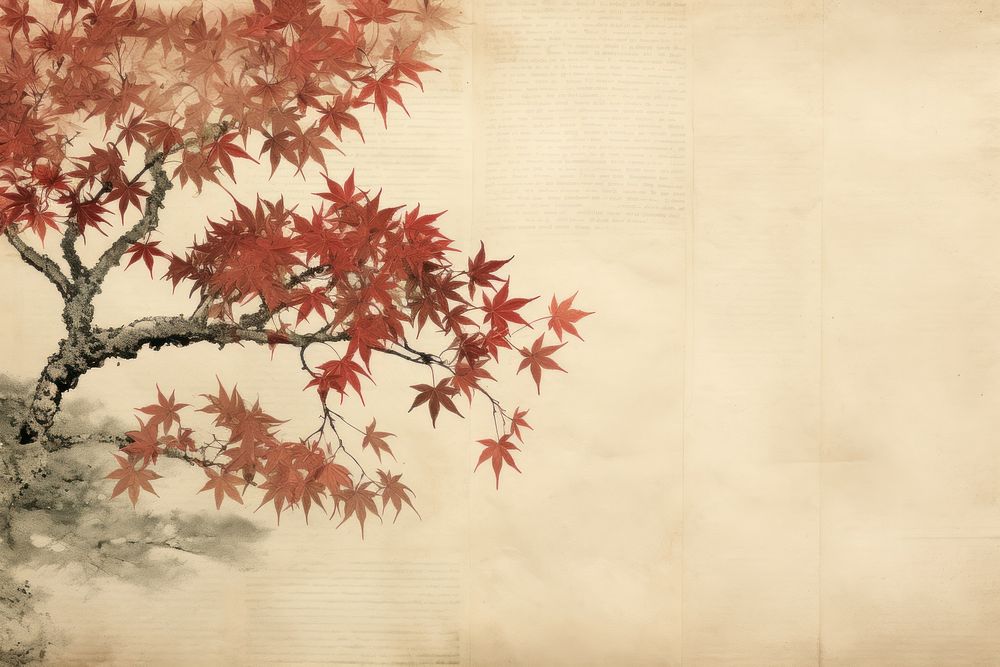 Japanese maple tree border backgrounds plant paper.
