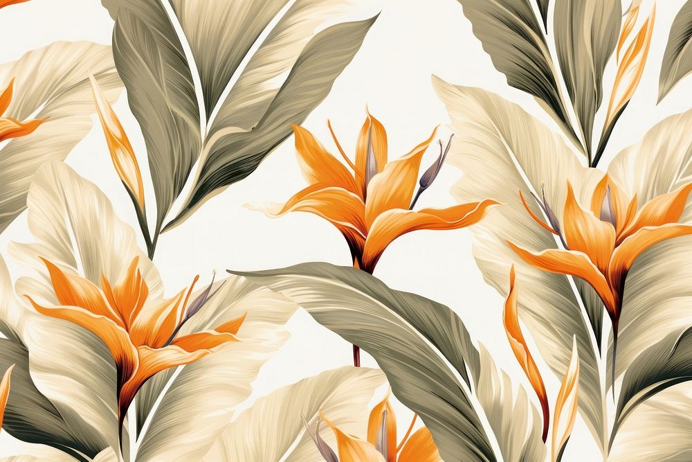  Strelitzia frame pattern backgrounds creativity. 