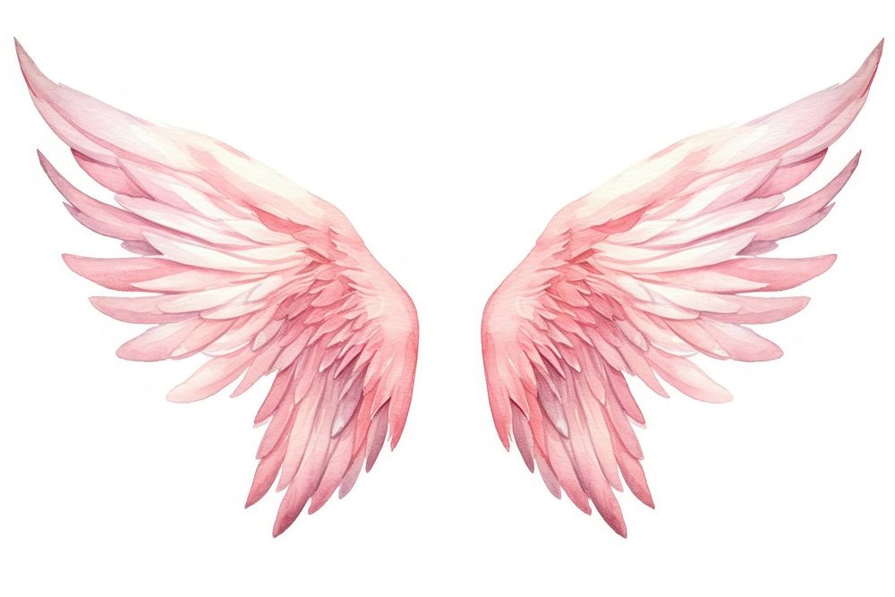 Wings white background creativity blossom. AI generated Image by rawpixel.
