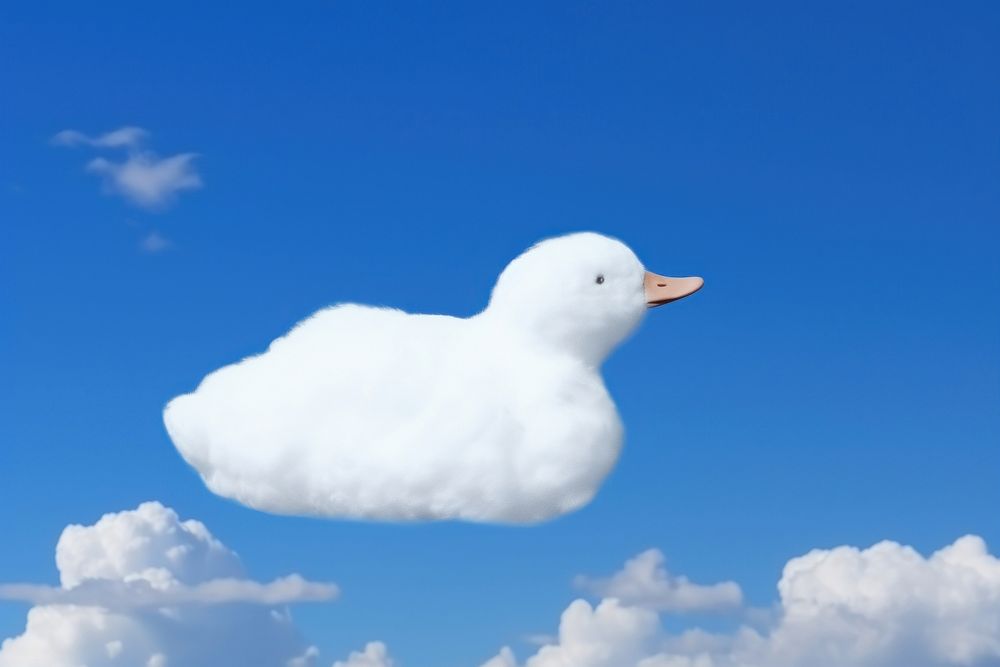 Duck shaped as a cloud sky outdoors seagull.