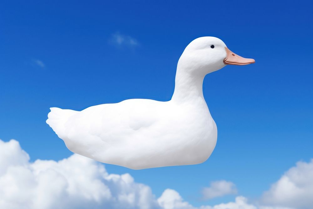 Duck shaped as a cloud animal goose bird.
