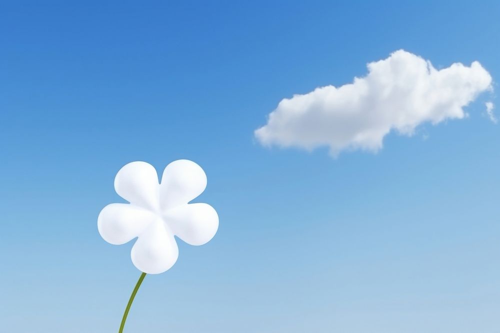 Flower shaped as a cloud sky outdoors nature.