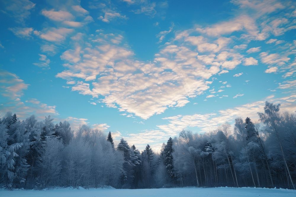 Natural heart shaped clouds in the sky over the winter forest landscape outdoors nature.