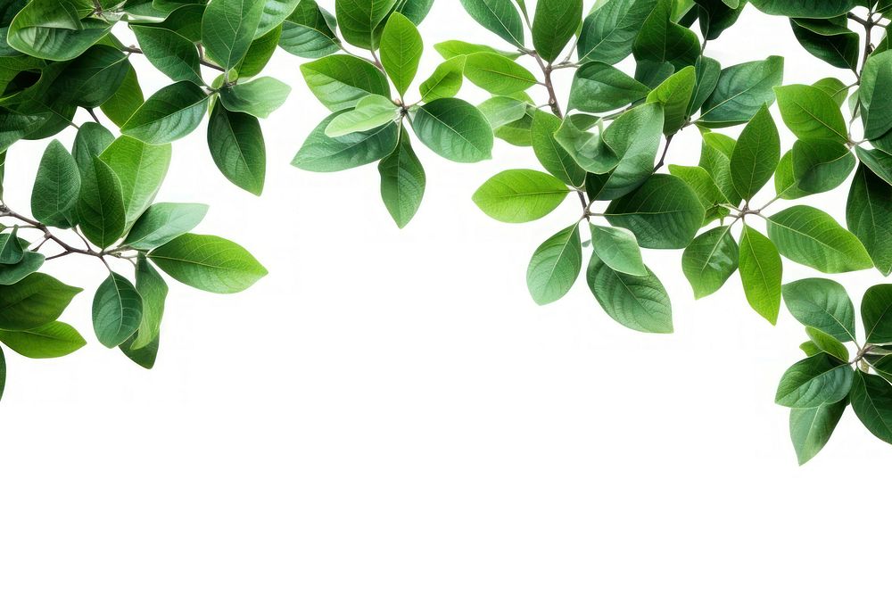 Mini green leaves backgrounds plant herbs. AI generated Image by rawpixel.