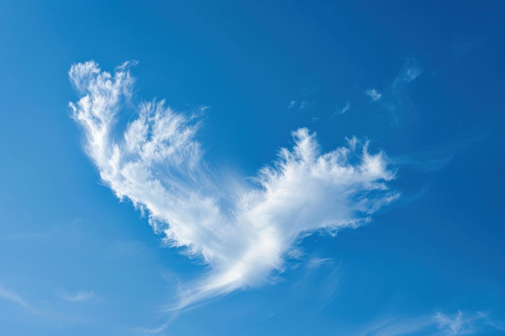 A cloud shaped like a phoenix sky outdoors nature.