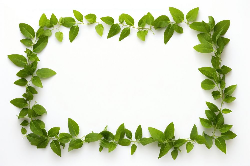 Frame of mini green leaves with center space backgrounds plant herbs. AI generated Image by rawpixel.