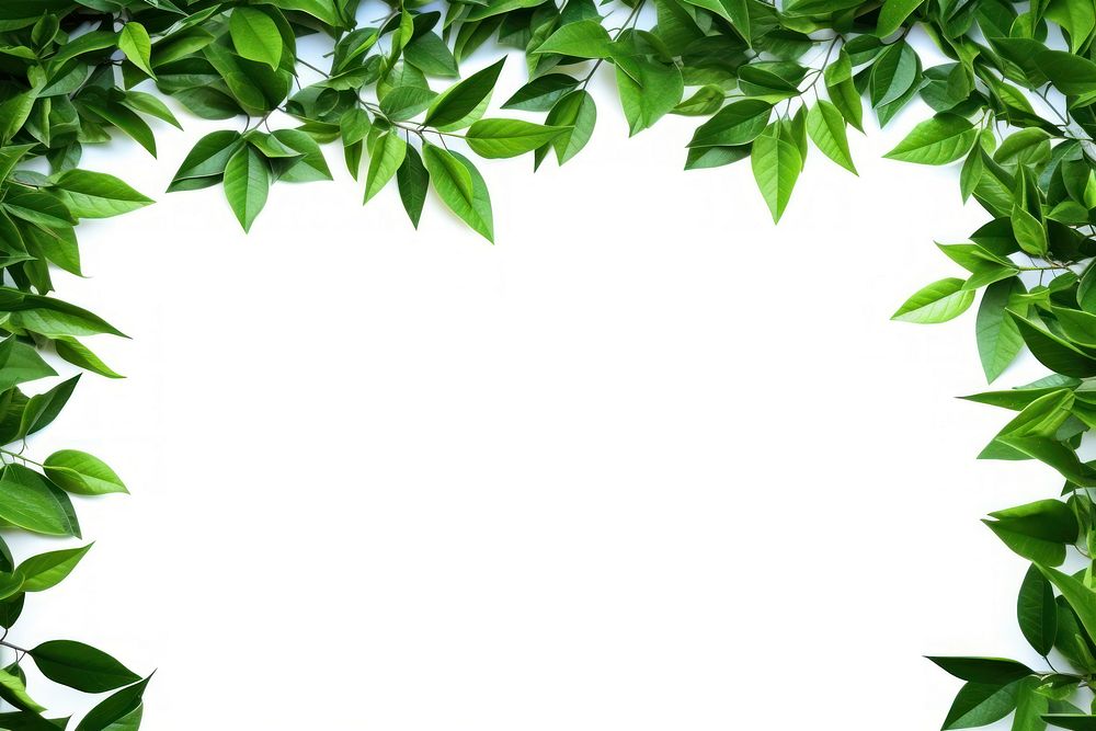 Green leaves backgrounds plant herbs. AI generated Image by rawpixel.