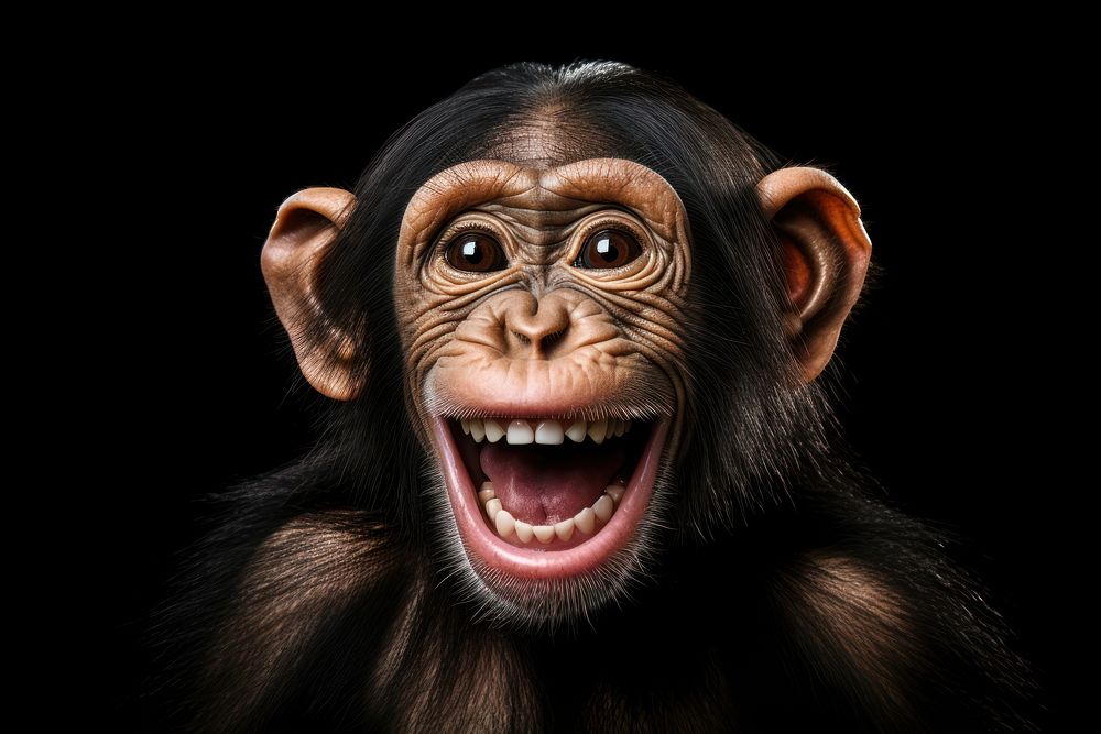 Smiling chimpanzee wildlife mammal monkey. AI generated Image by rawpixel.