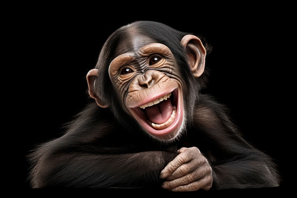 Smiling chimpanzee wildlife monkey animal. AI generated Image by rawpixel.