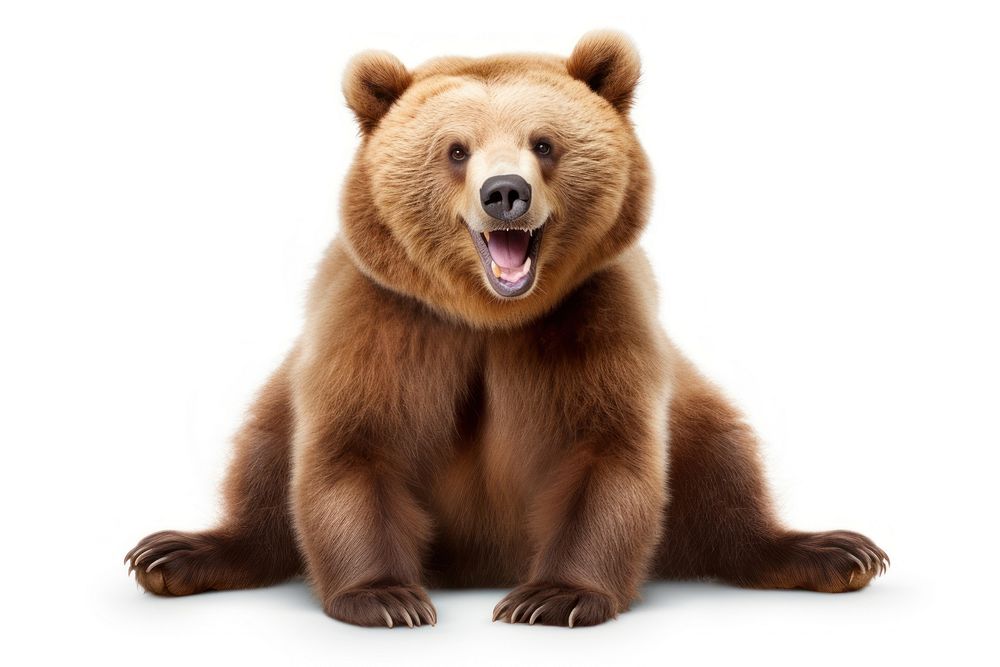 Smiling bear wildlife mammal animal. AI generated Image by rawpixel.