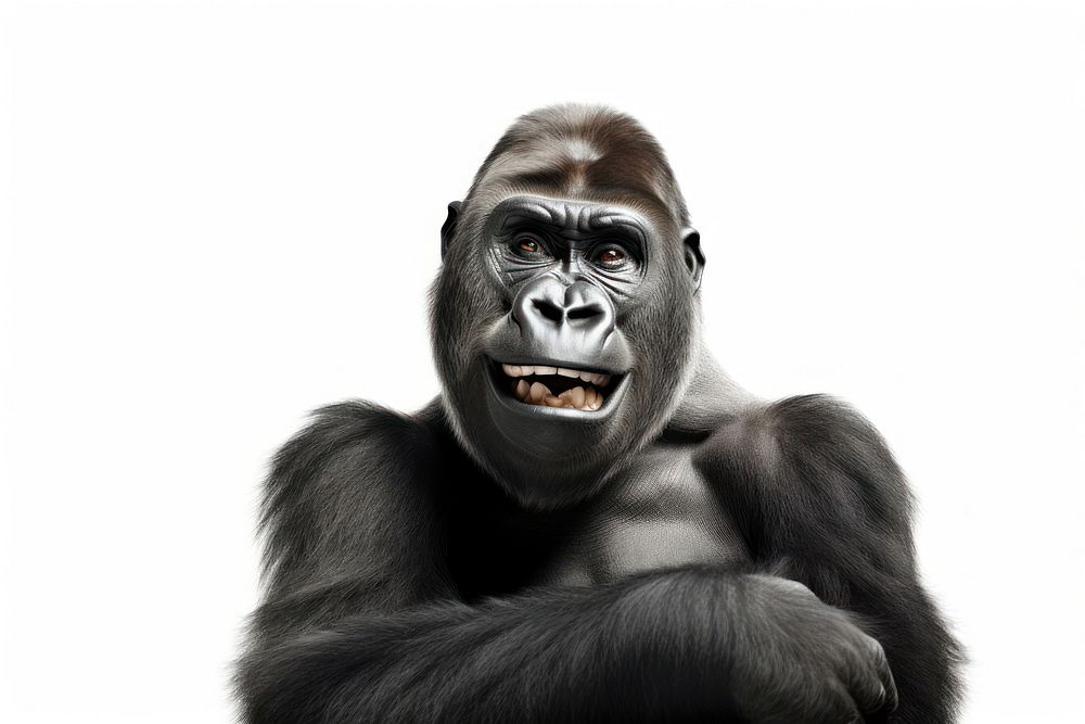 Smiling gorilla wildlife monkey mammal. AI generated Image by rawpixel.