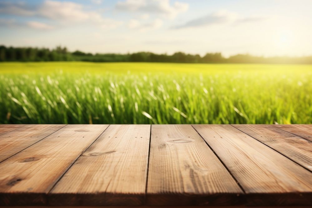 Grass fields table wood backgrounds. AI generated Image by rawpixel.