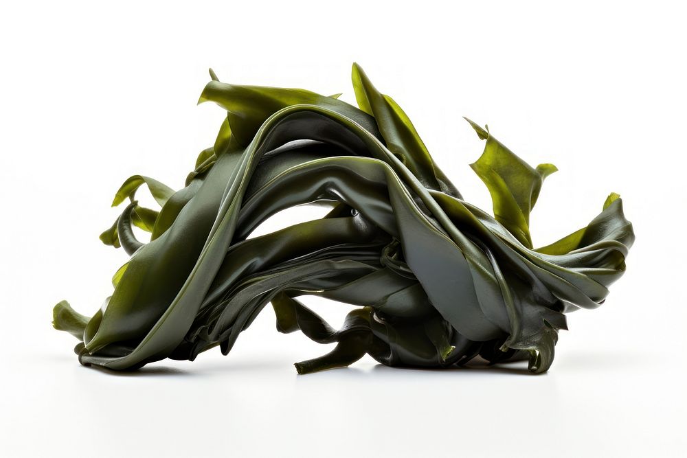 Seaweed seaweed white background ingredient.