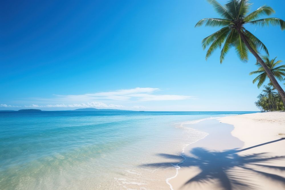 Tropical summer beach nature outdoors vacation.