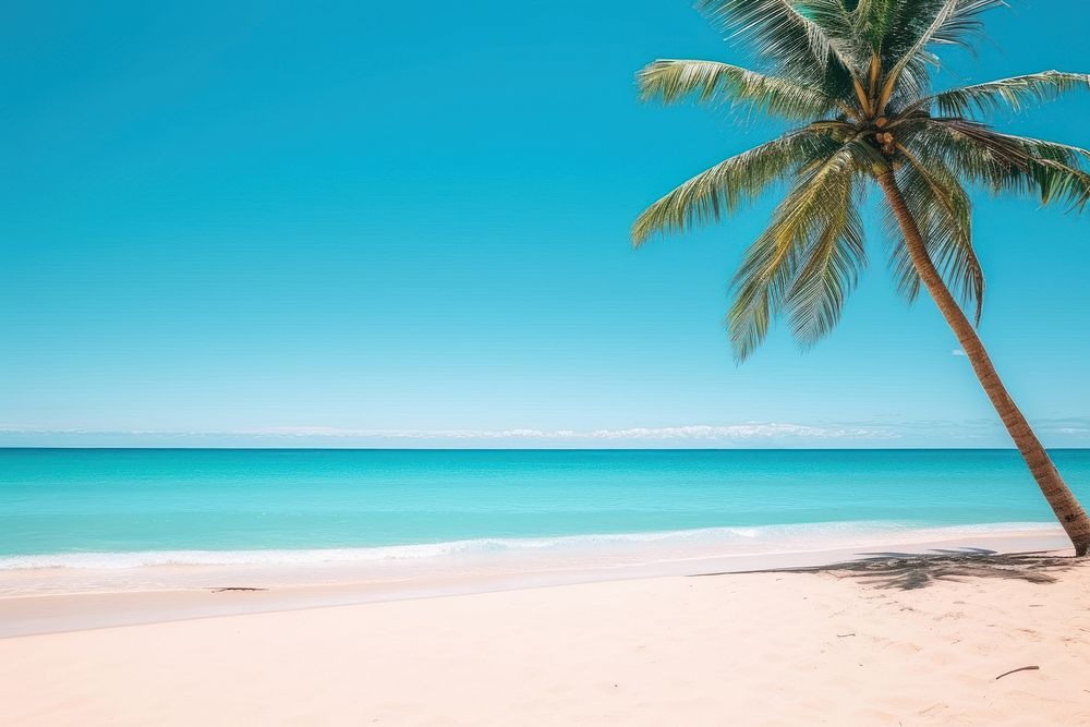 Tropical summer beach nature outdoors vacation.