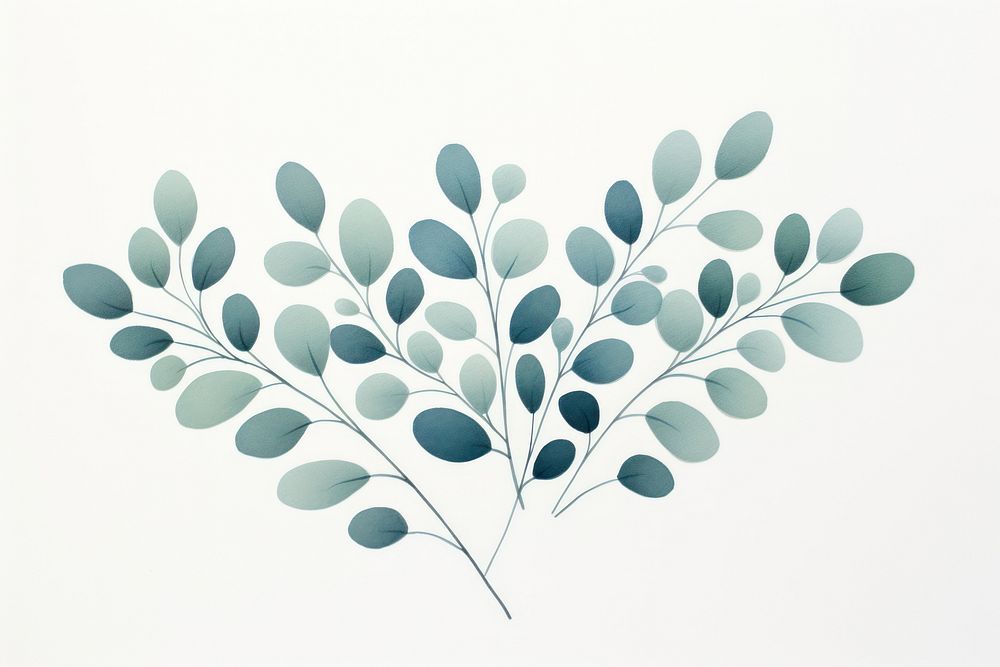 Eucalyptus pattern plant leaf.