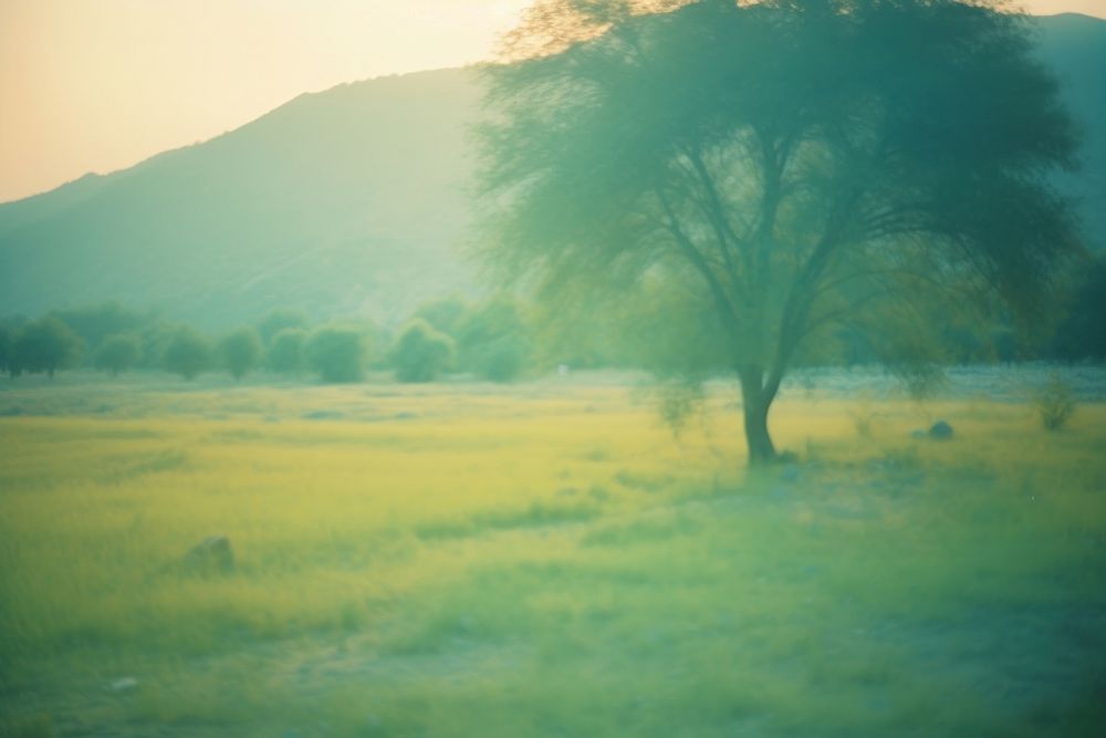 Nature landscape grassland outdoors plant. AI generated Image by rawpixel.