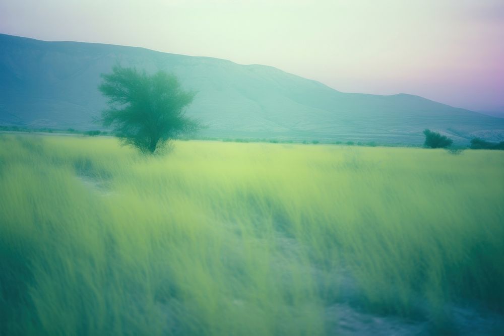 Nature landscape grassland outdoors plant. AI generated Image by rawpixel.