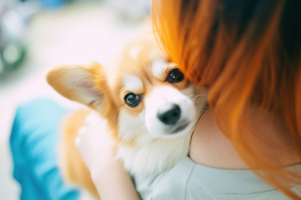 A corgi dog cuddle with a woman owner mammal animal puppy. AI generated Image by rawpixel.