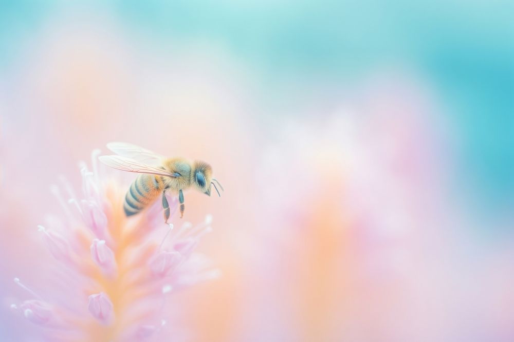 A bee animal insect invertebrate. AI generated Image by rawpixel.