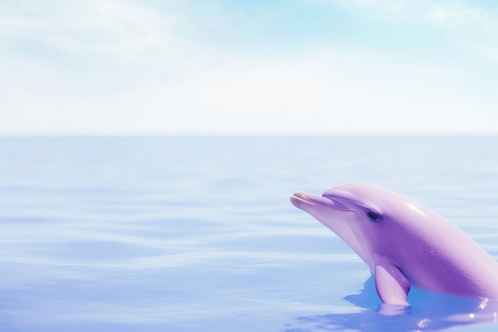 A dolphin animal mammal purple. | Premium Photo - rawpixel