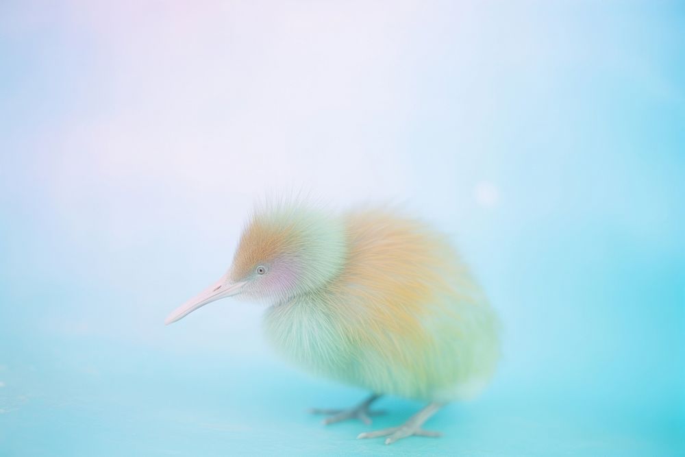 A kiwi bird animal beak underwater. AI generated Image by rawpixel.