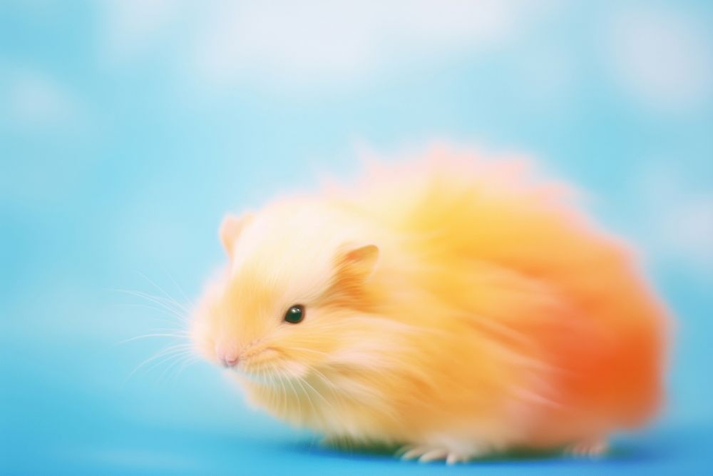 A hamster rodent animal mammal. AI generated Image by rawpixel.