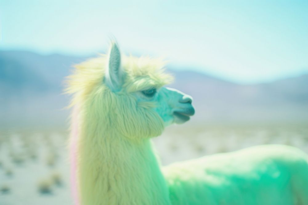 A llama animal mammal alpaca. AI generated Image by rawpixel.