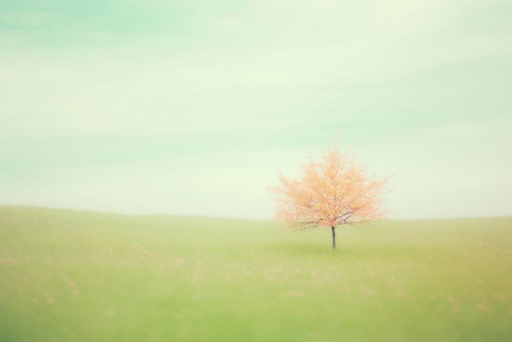 A spring tree landscape outdoors horizon. AI generated Image by rawpixel.