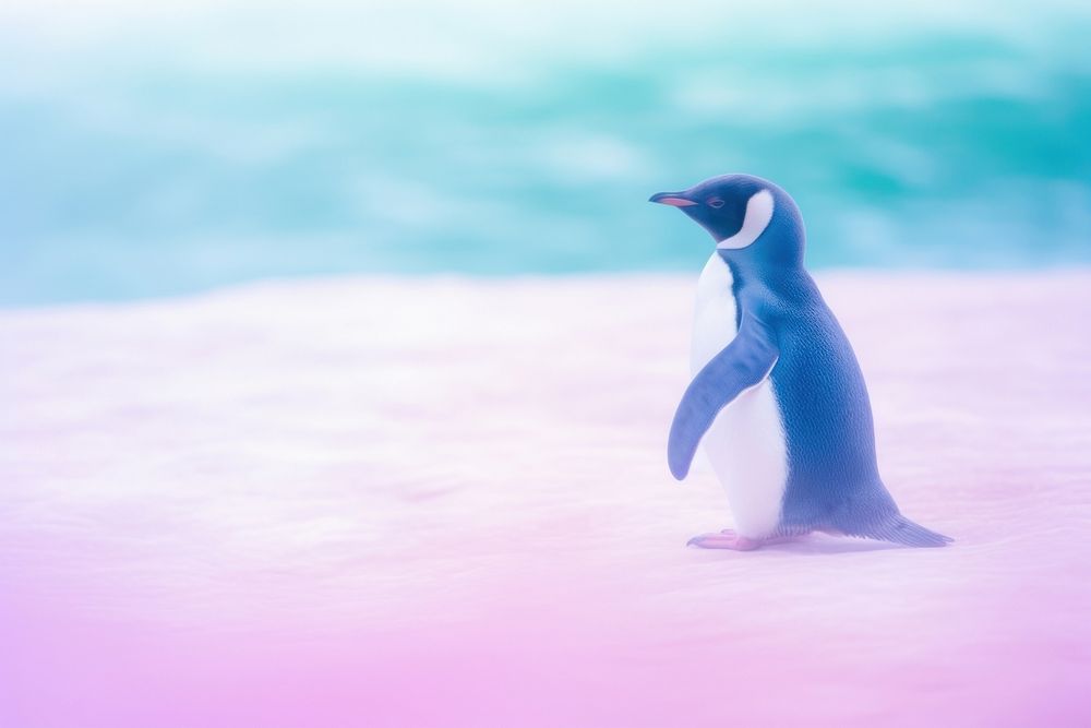 A penguin animal motion bird. AI generated Image by rawpixel.