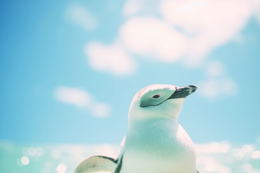 A penguin animal bird underwater. AI generated Image by rawpixel.