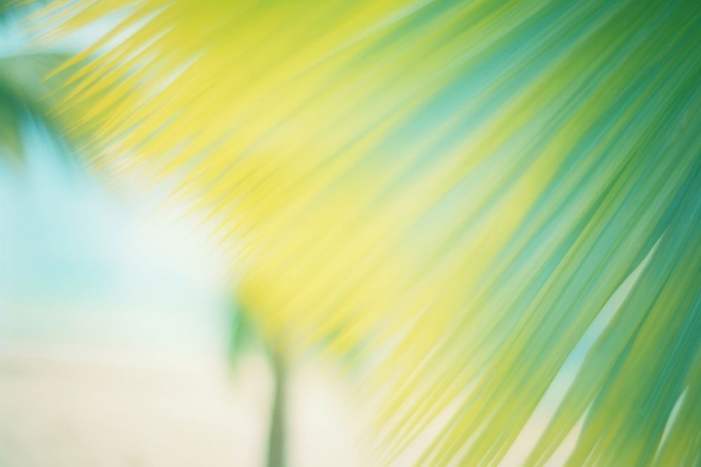 A tropical beach sunlight outdoors nature. AI generated Image by rawpixel.