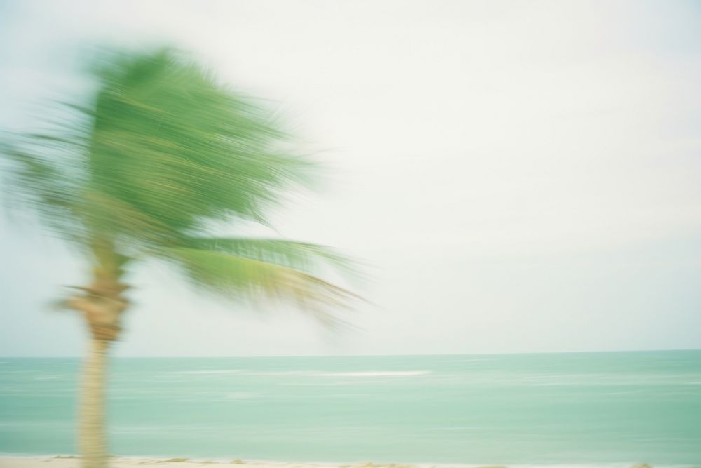 A tropical beach outdoors nature motion. AI generated Image by rawpixel.