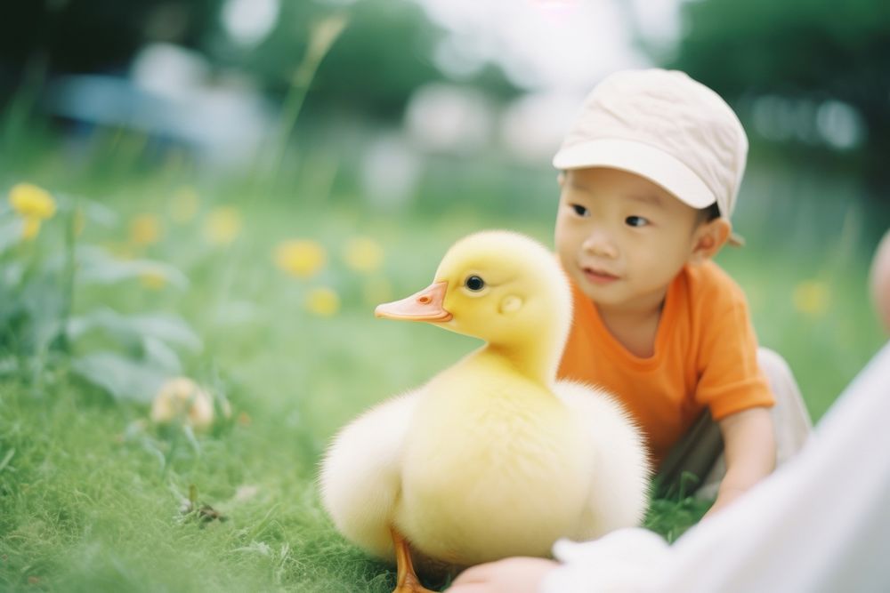 Babies duck with a kid happily photography portrait animal. 