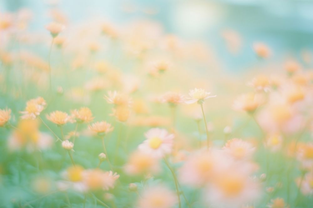 Summer flower garden outdoors blossom nature. AI generated Image by rawpixel.