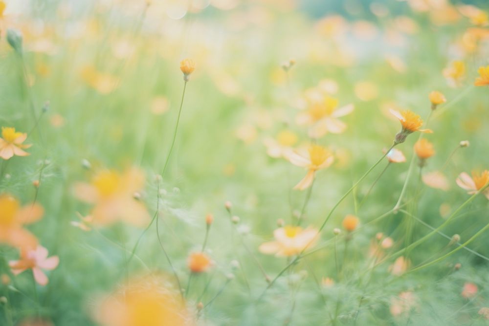 Summer flower garden grassland outdoors nature. AI generated Image by rawpixel.