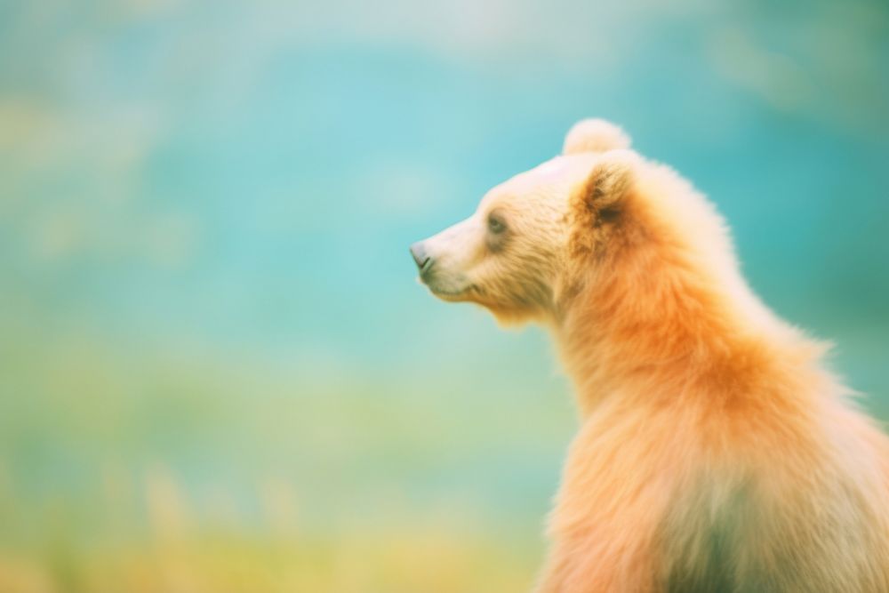A grizzly bear wildlife mammal animal. AI generated Image by rawpixel.