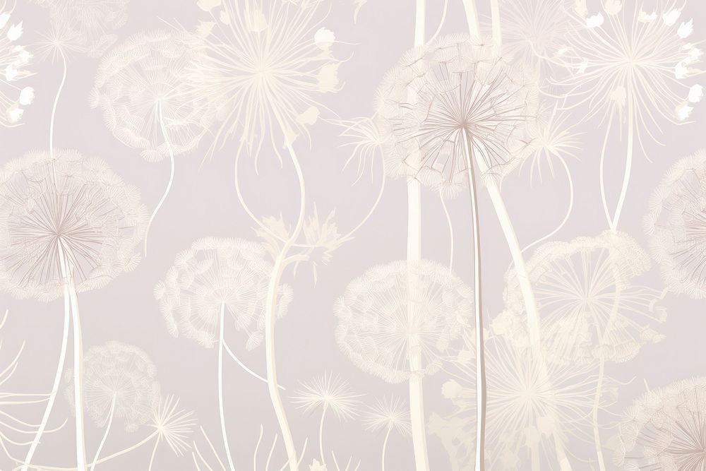 Dandelion wallpaper flower plant.