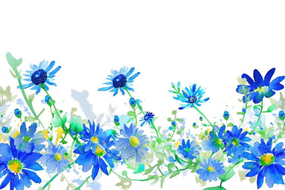 Blue daisy and daisy nature backgrounds outdoors.