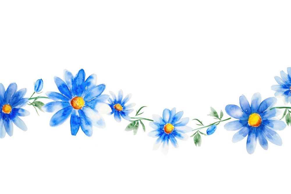 Blue daisy and daisy nature pattern flower.