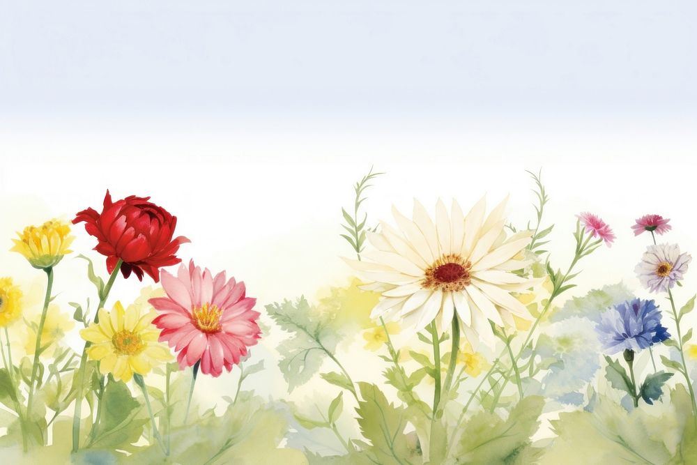 Daisy flowers and peony nature backgrounds outdoors.