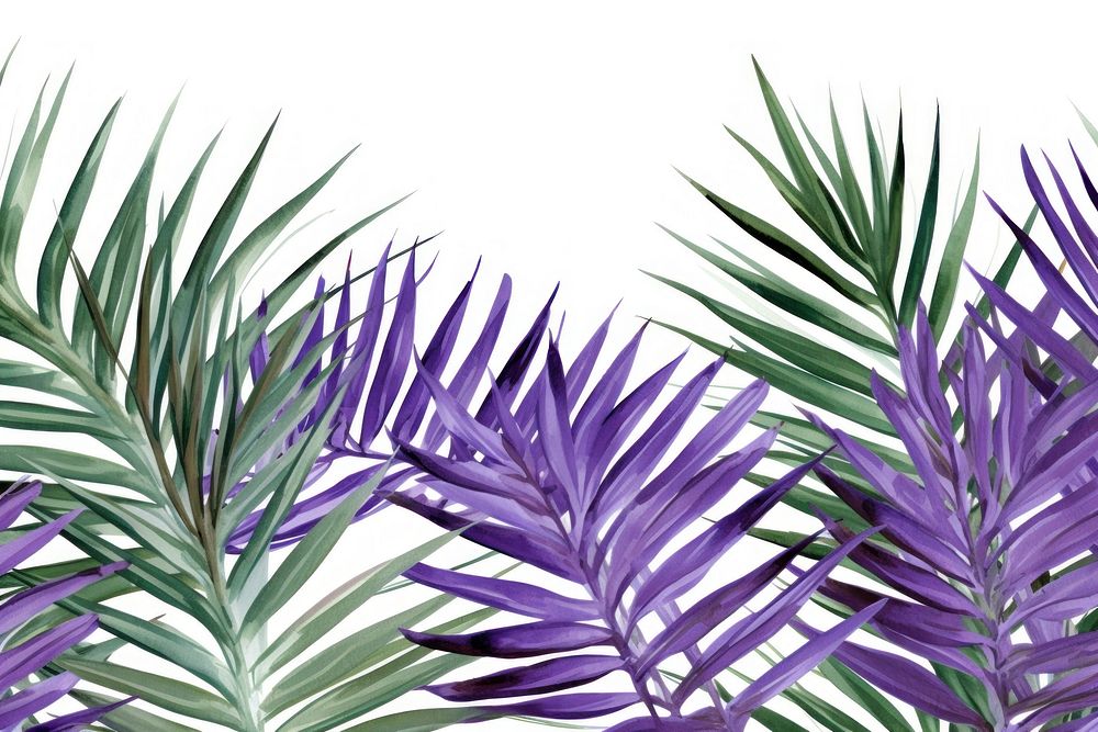 Palm leaves and lavender flowers backgrounds outdoors nature.