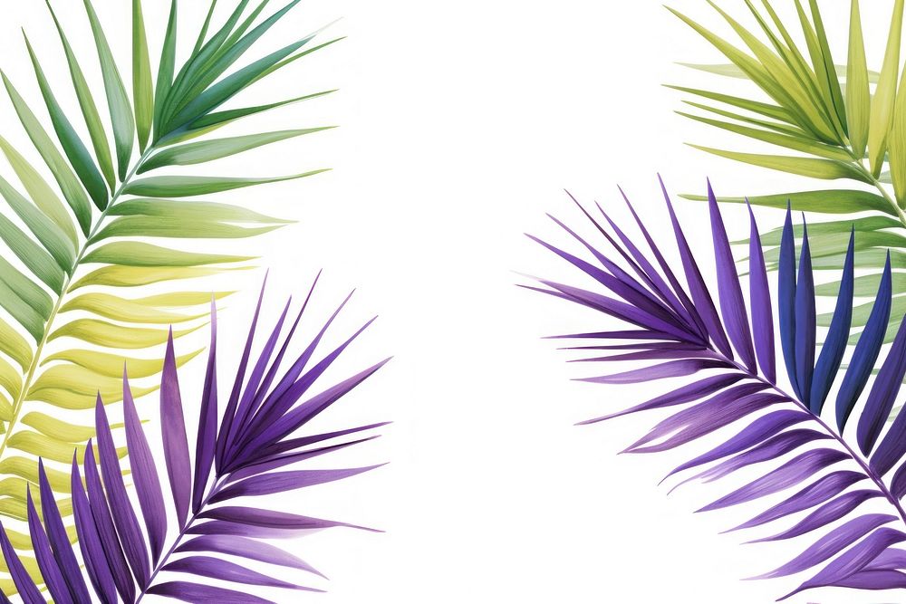 Palm leaves and lavender nature backgrounds plant.