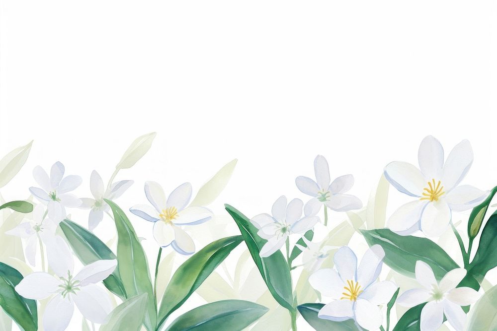 White flowers backgrounds outdoors pattern.