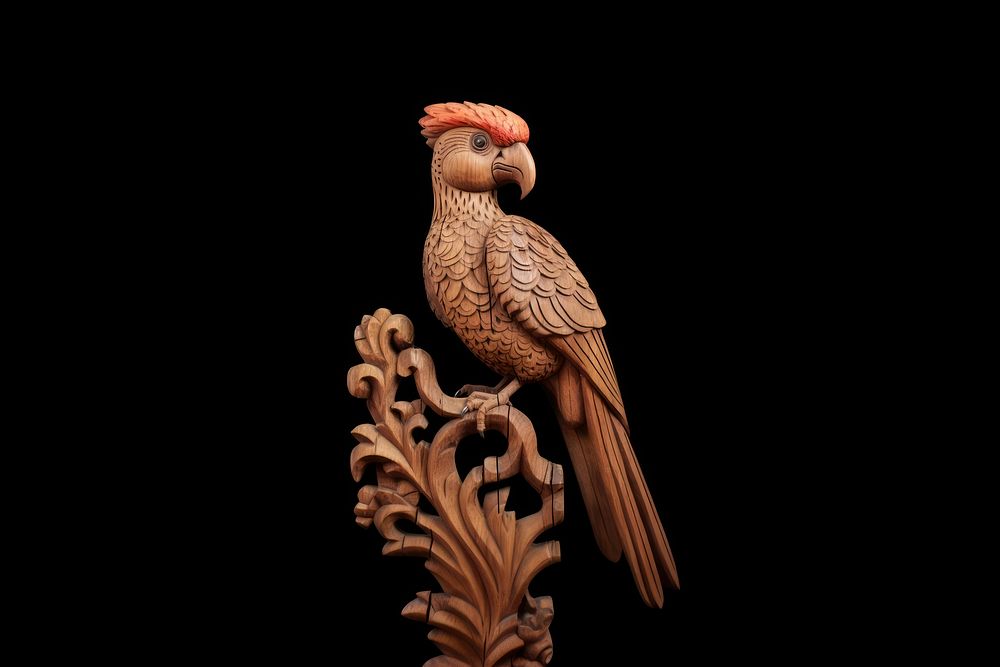 A parrot animal bird beak. AI generated Image by rawpixel.