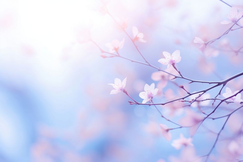 Winter bokeh flower backgrounds outdoors. AI generated Image by rawpixel.
