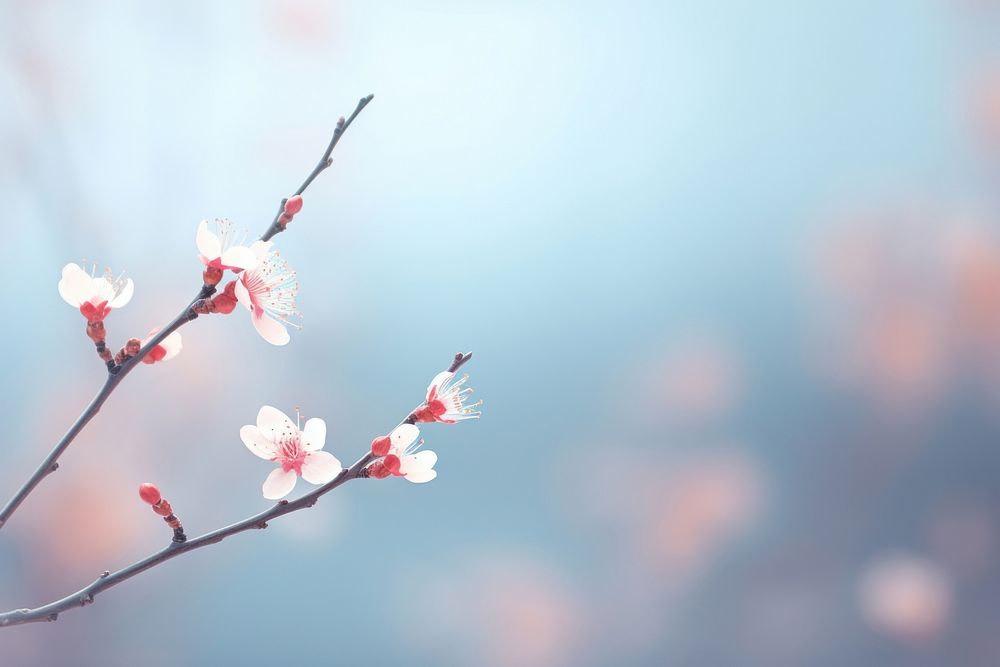 Winter bokeh flower outdoors blossom. AI generated Image by rawpixel.